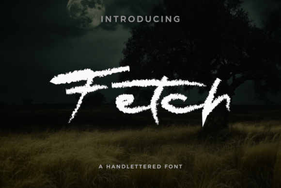 Fetch: A Script Font for Creative Web Design